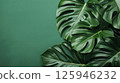 Simple green background with leaves 125946232