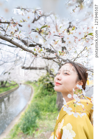 身著和服、櫻花盛開的成年女性 125946507