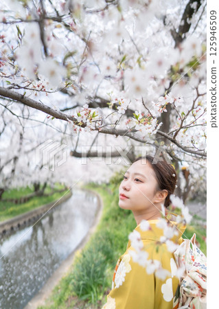身著和服、櫻花盛開的成年女性 125946509