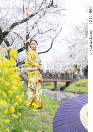 身著和服的成年女性在川越新河岸邊賞櫻 身著和服的成年女性在川越新河岸邊賞櫻 125946604