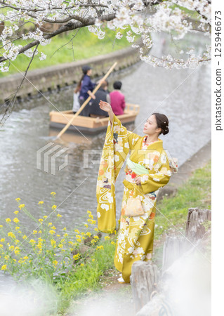 Cherry blossoms on the Shingashi River with a boat crossing under the cherry blossoms and a woman in a kimono 125946673
