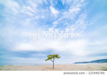 "Aomori Prefecture" Spring scenery of Osuka Coast, Hachinohe City 125946789