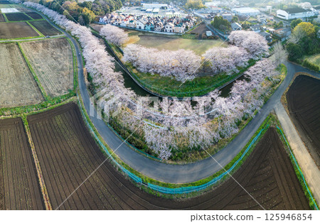 埼玉縣埼玉市見沼稻田櫻花樹的鳥瞰圖 埼玉縣埼玉市見沼稻田櫻花樹的鳥瞰圖 125946854