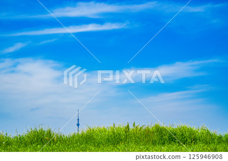 Skytree as seen from the banks of the Edogawa River in Matsudo-Yagiri 125946908