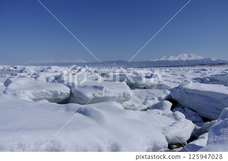 白雪皚皚的知床山脈和流冰，北海道知床 125947028