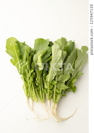 Leaf radish 125947139