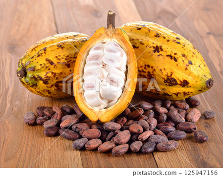 Cacao fruit, cacao beans 125947156