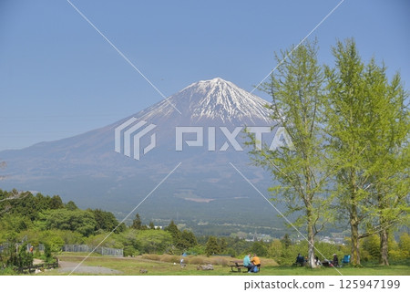 Mt Fuji from the plateau 125947199