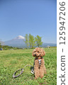 Mt. Fuji and Toy Poodle 125947206