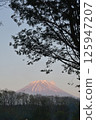 Mount Fuji at sunrise 125947207