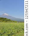 Mount Fuji seen from a rapeseed field 125947211