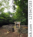 香川縣小豆島星河城西鳳東岸神社 125947283
