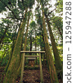 香川縣小豆島山頂的星雅城神社 125947288