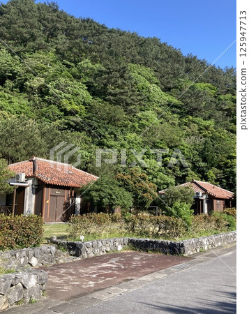 House in Okinawa (Kunigami Village, Okinawa Prefecture) House in Okinawa (Kunigami Village, Okinawa Prefecture) 125947713