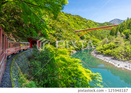The only Abt-style train in Japan that runs slowly through the valley Igawa Line Breathtaking view from the train window 125948187
