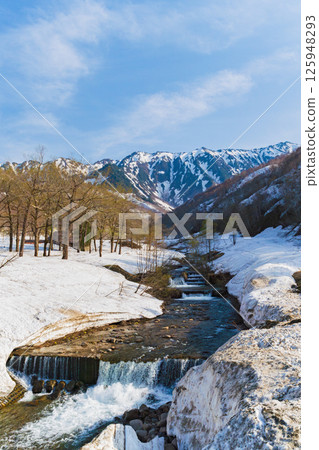 A river flowing from the snow-covered Mt. Arasawa 125948293