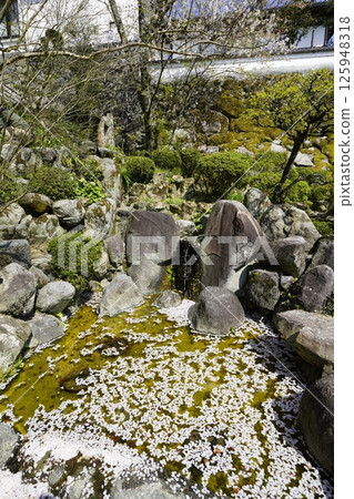 流水風景花筏 125948318