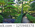 Pine trees in a Japanese garden in Takamatsu City 125948378