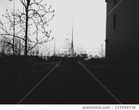 A Serene Urban Landscape Thoroughly Captured in Striking and Timeless Black and White Imagery 125948536