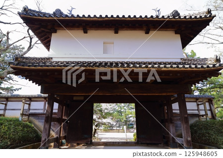 Cherry blossoms blooming at the front gate of Tsuchiura Castle 125948605