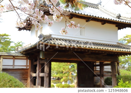 櫻花和土浦城正門 櫻花和土浦城正門 125948606