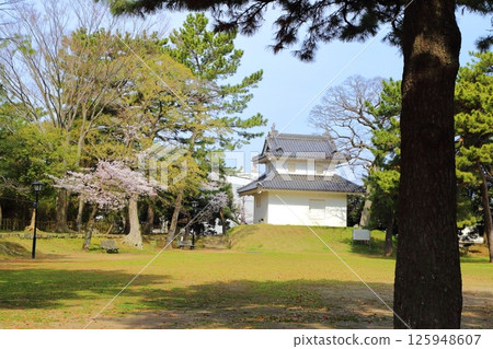櫻花和土浦城 櫻花和土浦城 125948607