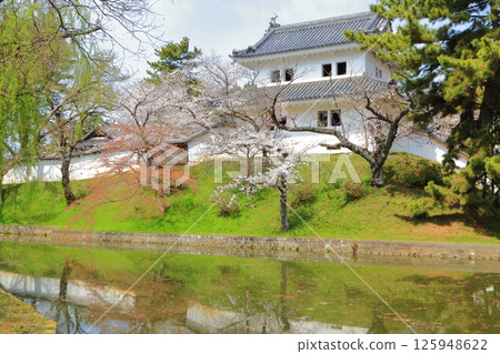 Cherry blossoms blooming in the moat and the towers of Tsuchiura Castle 125948622