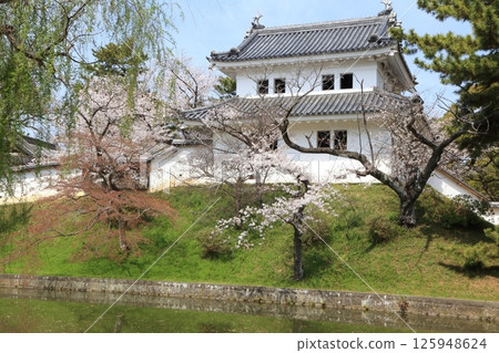 Cherry blossoms blooming in the moat and the towers of Tsuchiura Castle Cherry blossoms blooming in the moat and the towers of Tsuchiura Castle 125948624