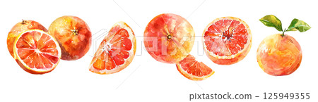 Set of fresh tropical fruit, Grapefruit in watercolor style isolated on a transparent background. 125949355