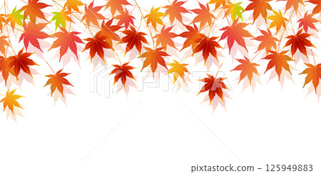 Autumn leaves maple autumn background 125949883