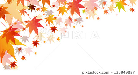  Autumn leaves maple autumn background 125949887