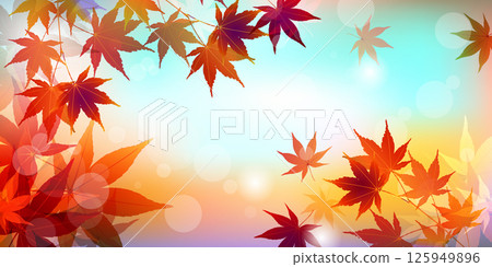  秋葉槭樹秋天背景 125949896