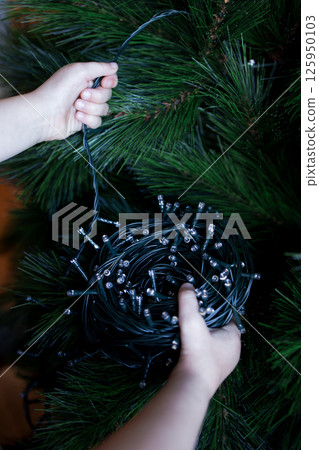 Child unraveling Christmas lights on pine tree for holiday decoration 125950103