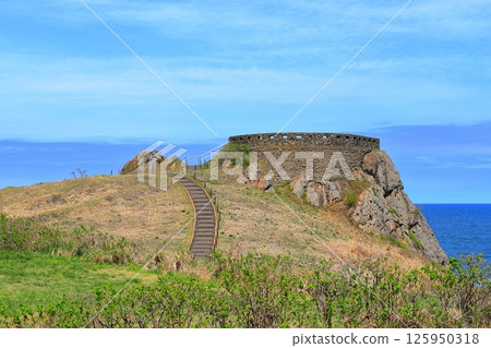 三陸復興國立公園陸奧海風步道（青森縣） 125950318