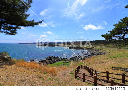 Sanriku Fukko National Park, Michinoku Sea Breeze Trail (Aomori Prefecture) 125950325