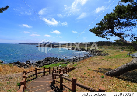 Sanriku Fukko National Park, Michinoku Sea Breeze Trail (Aomori Prefecture) 125950327