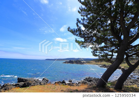 Sanriku Fukko National Park, Michinoku Sea Breeze Trail (Aomori Prefecture) 125950334