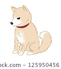 angry shiba inu 125950456