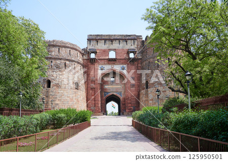 delhi, deli, castle 125950501