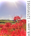Autumn sky and amarish flag 125950561