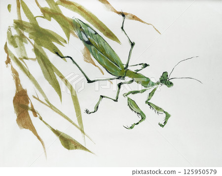 Chinese ink brushstroke style painting of a green grasshopper 125950579