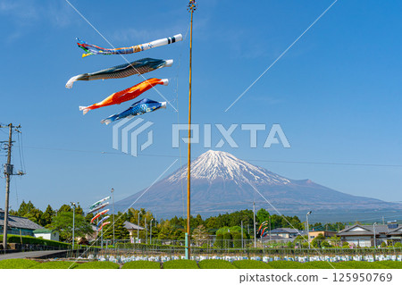 富士山、茶園和鯉魚旗 富士山、茶園和鯉魚旗 125950769