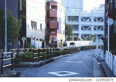 港區乃木坂週邊的城市景觀 港區乃木坂週邊的城市景觀 125950879