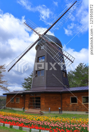 岩手縣雪谷川水壩森林公園“森林、水與鬱金香節” 岩手縣雪谷川水壩森林公園“森林、水與鬱金香節” 125950972
