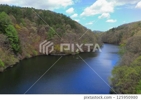 岩手縣雪谷川水壩森林公園“森林、水與鬱金香節” 125950980