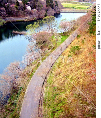 公園裡的春天景色 公園裡的春天景色 125952221