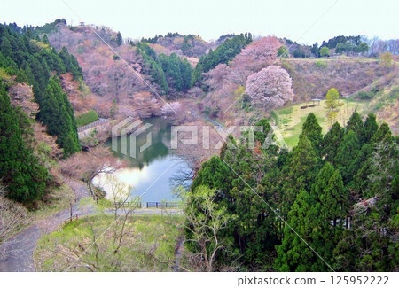 公園裡的春天景色 公園裡的春天景色 125952222