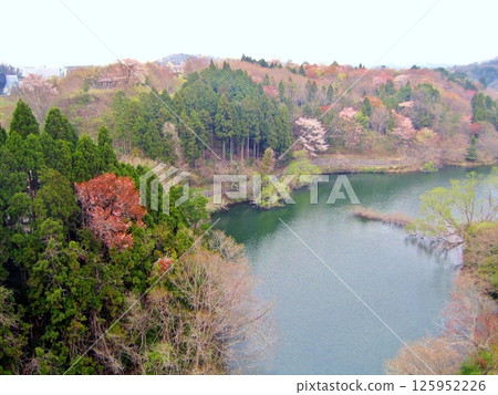 公園裡的春天景色 公園裡的春天景色 125952226