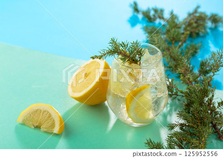 Gin and tonic cocktail with crushed ice and lemon slices. 125952556