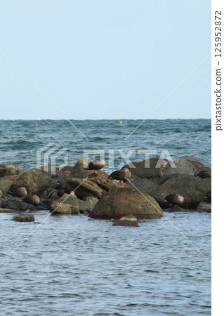 (Amaharashi Beach) 05101529 (Amaharashi Beach) 05101529 125952872
